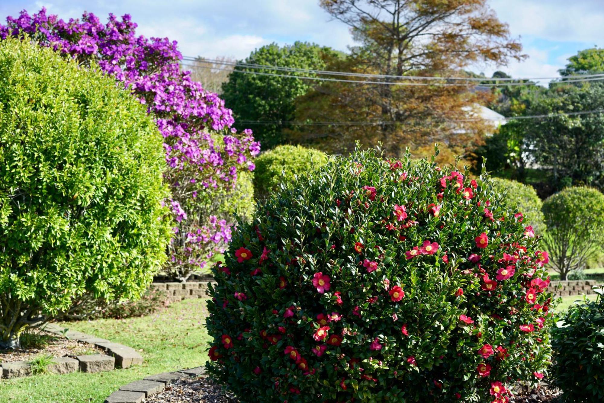 Tui Garden, Waiheke Holiday home Oneroa