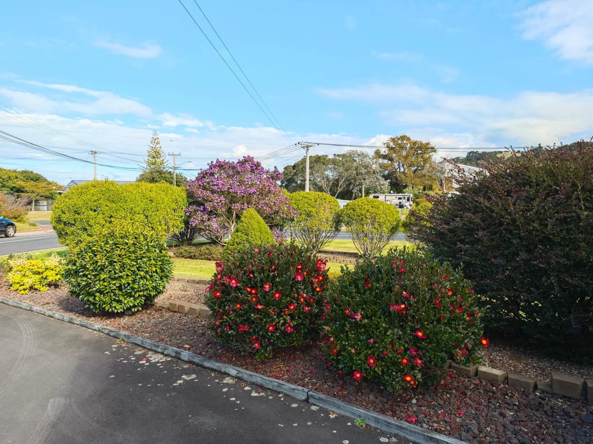 Tui Garden, Waiheke Oneroa