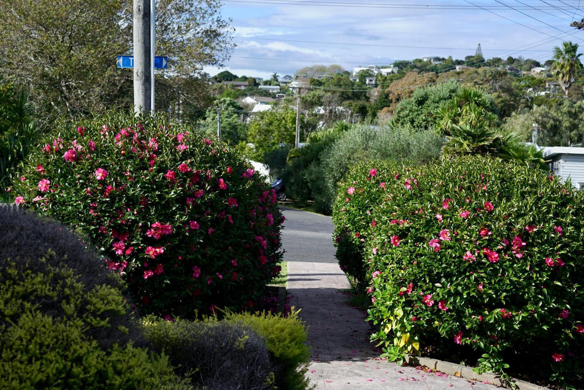 Tui Garden, Waiheke *